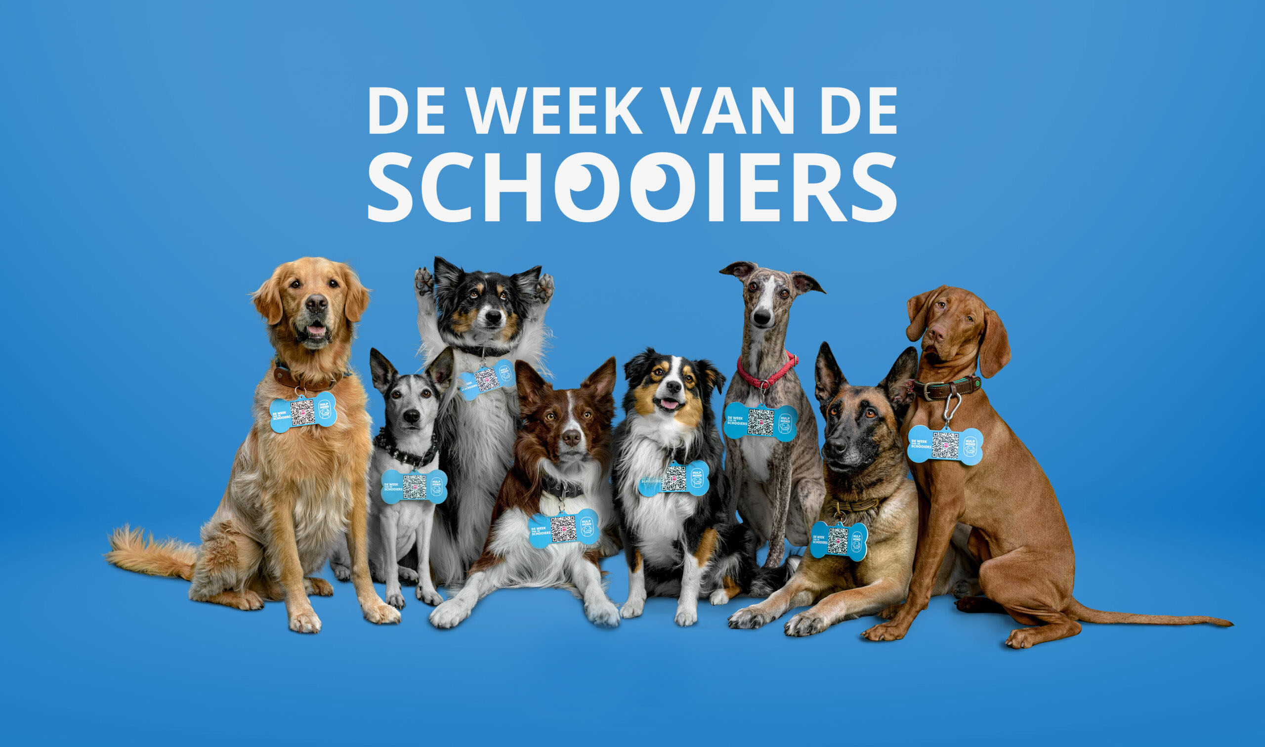 De Week van de Schooiers 2023: doe je ook mee?