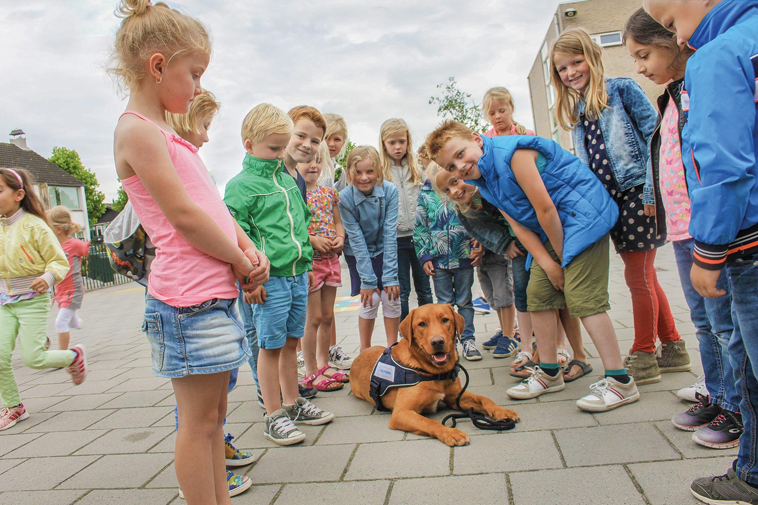 Scholen