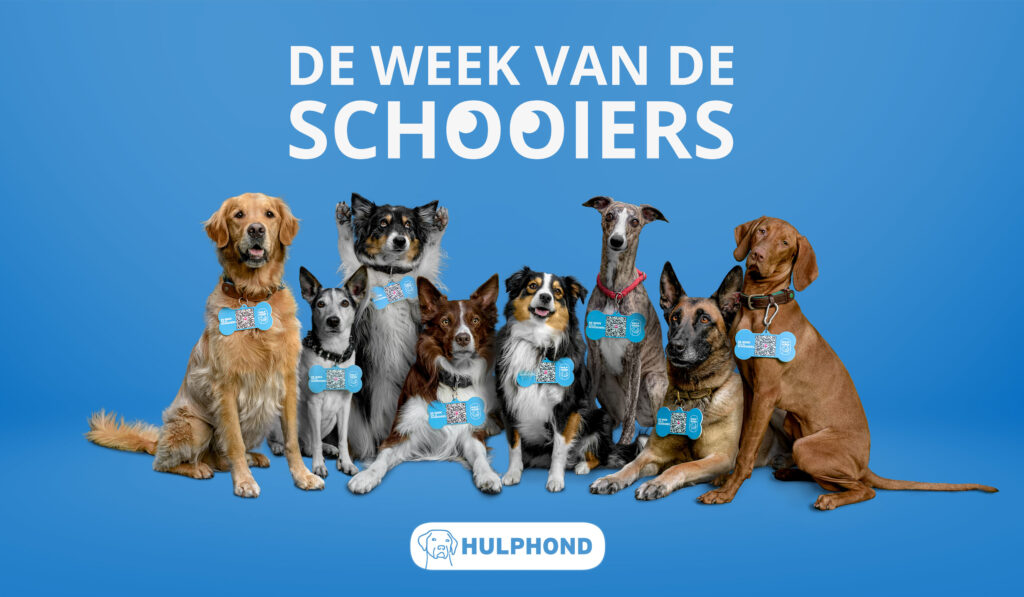 Verschillende soorten honden op blauw achtergrond