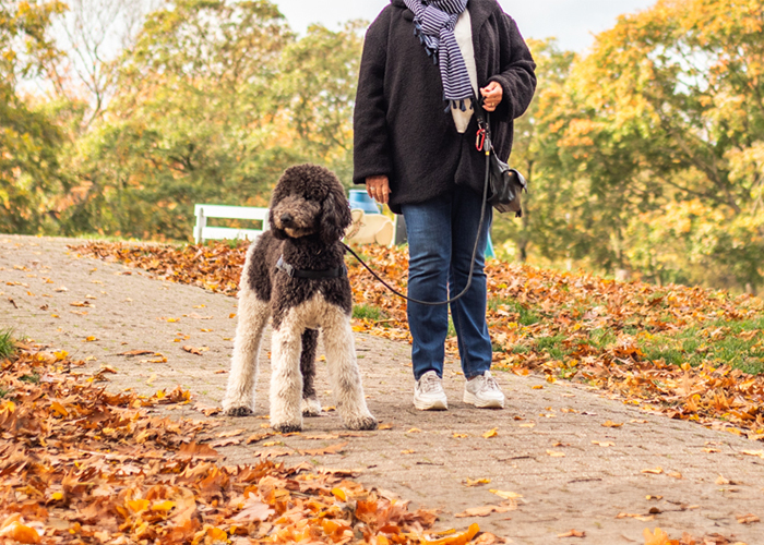 Nanouk gaat naar Frankrijk