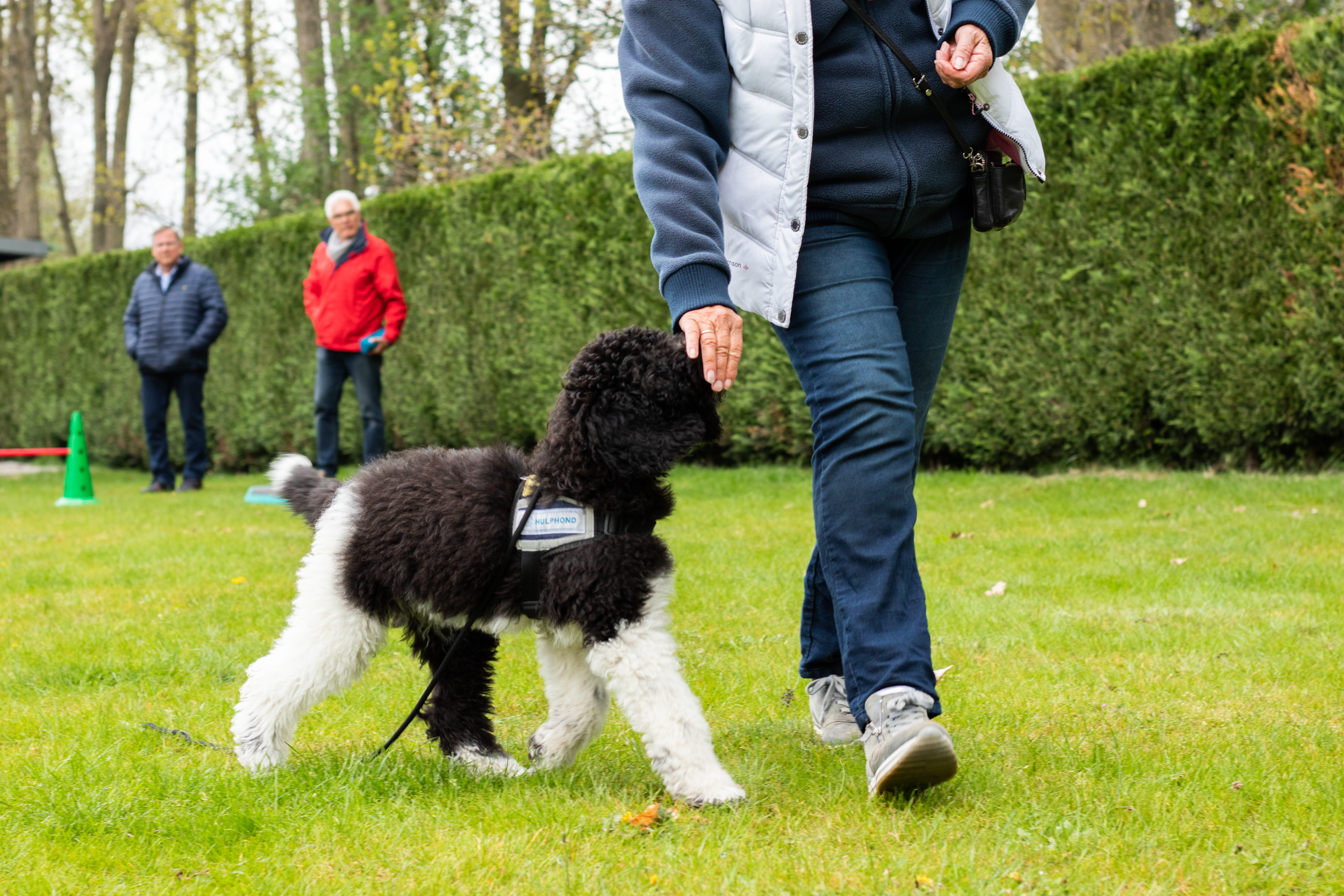 Puppy Nanouk maakt grote stappen!