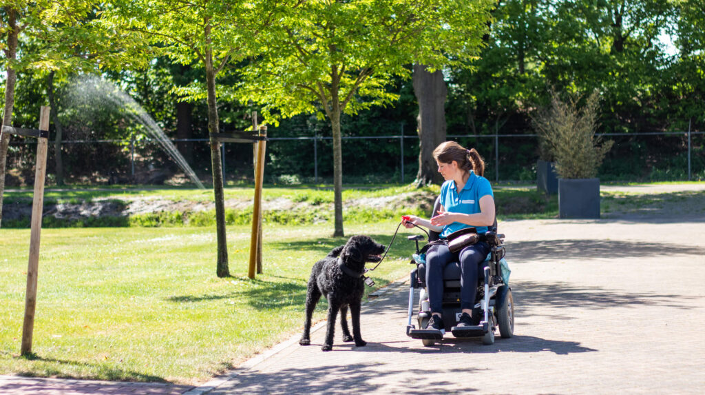 Hondentraining naast rolstoel lopen