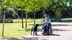 Hondentraining naast rolstoel lopen