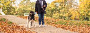 Nanouk in het bos samen met haar baasje