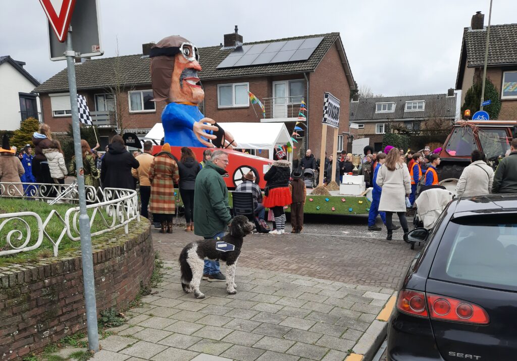 Poedel Nanouk kijkt naar de optocht