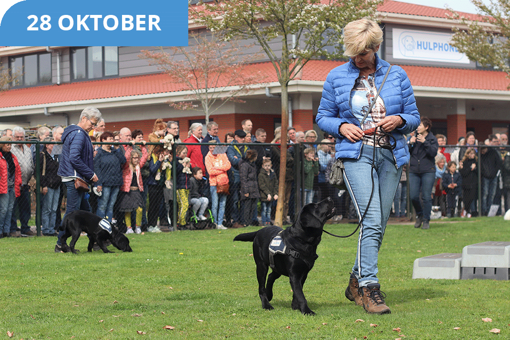 Open dag Hulphond Nederland oktober 2023