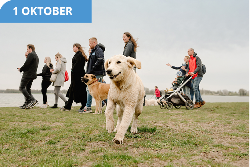 The Big Walk 2023 - oktober - hondenwandeling