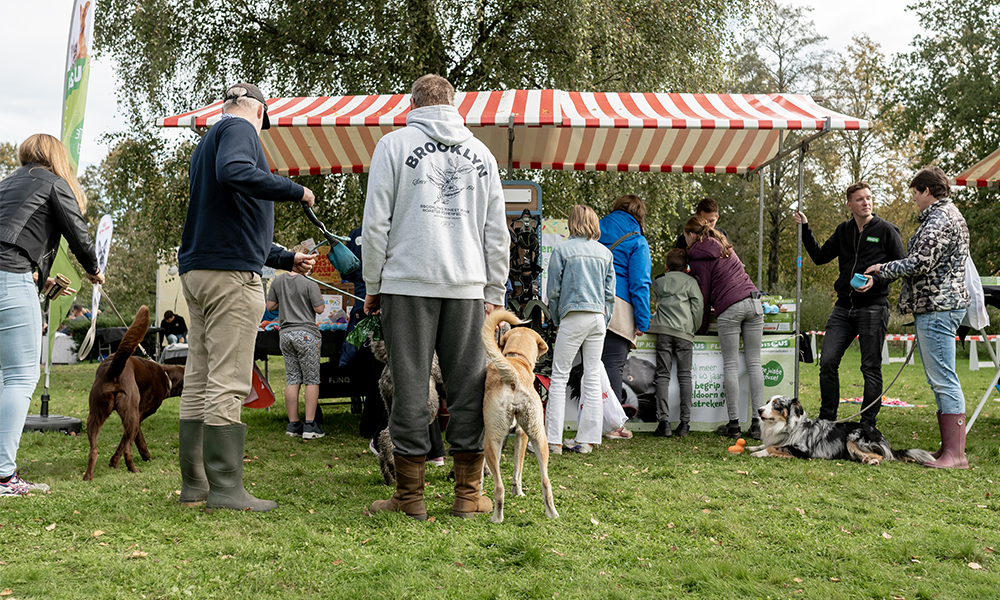 The Big Walk - evenement