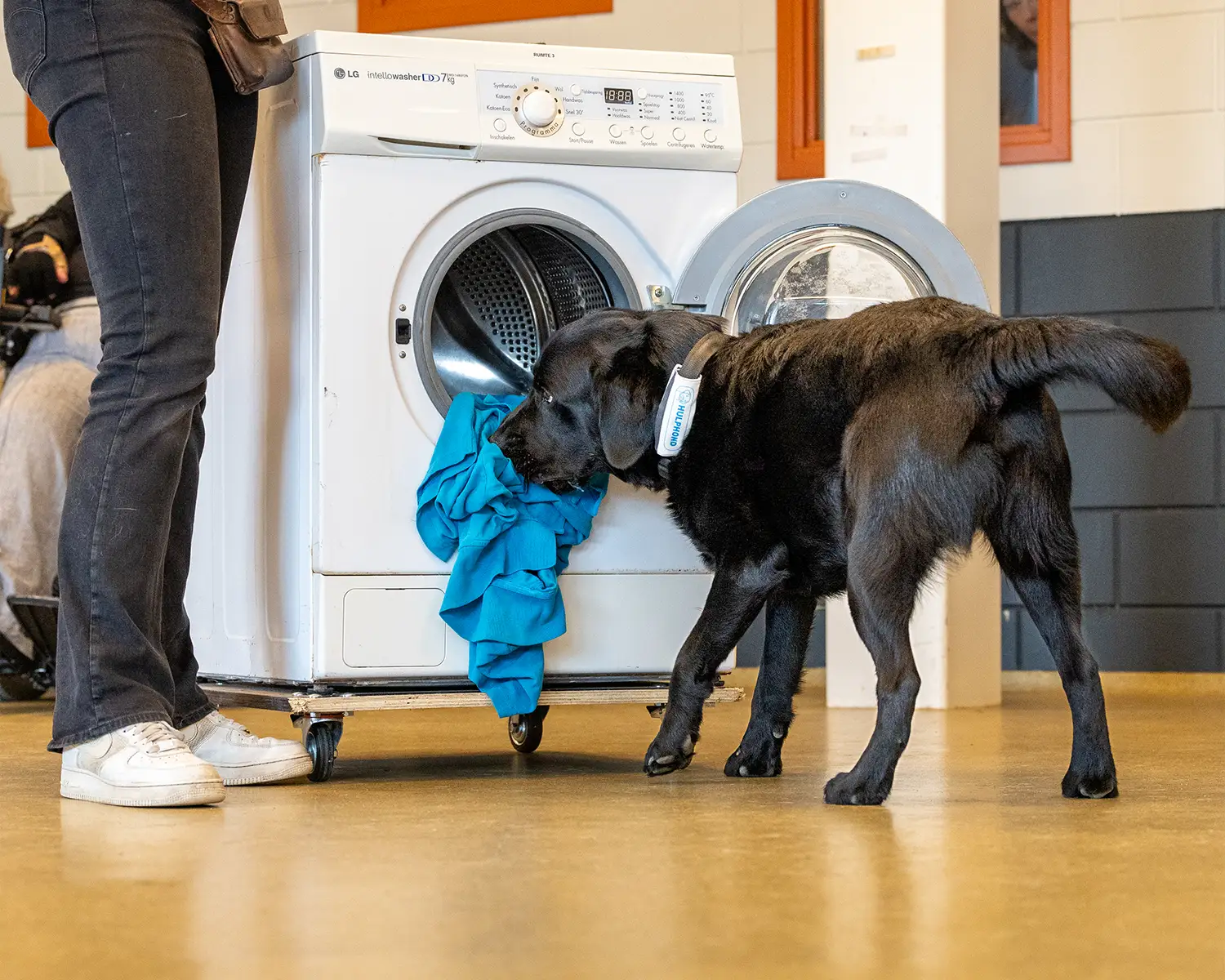 1500x1200_65perc-Open_dag_01