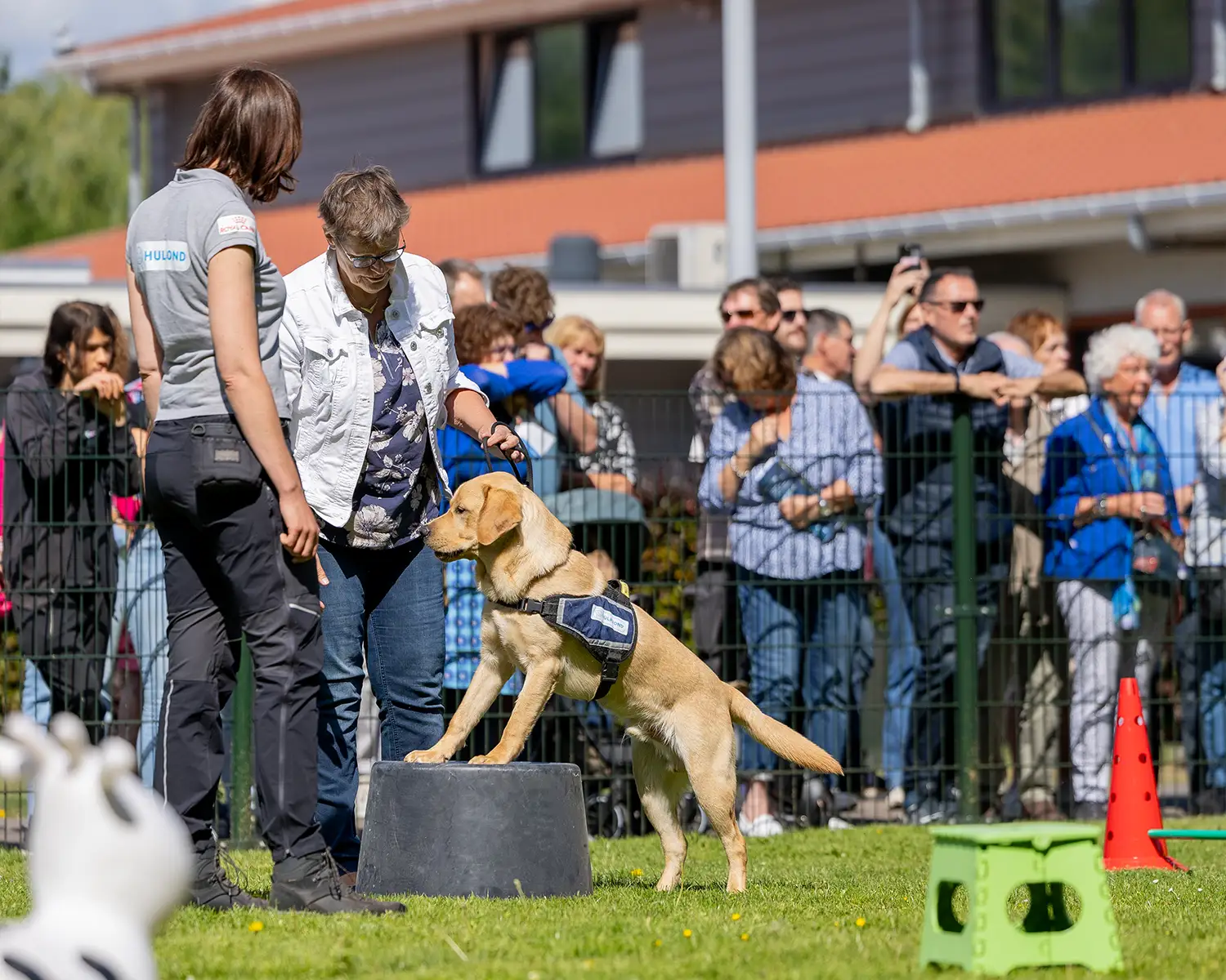 1500x1200_65perc-Open_dag_07