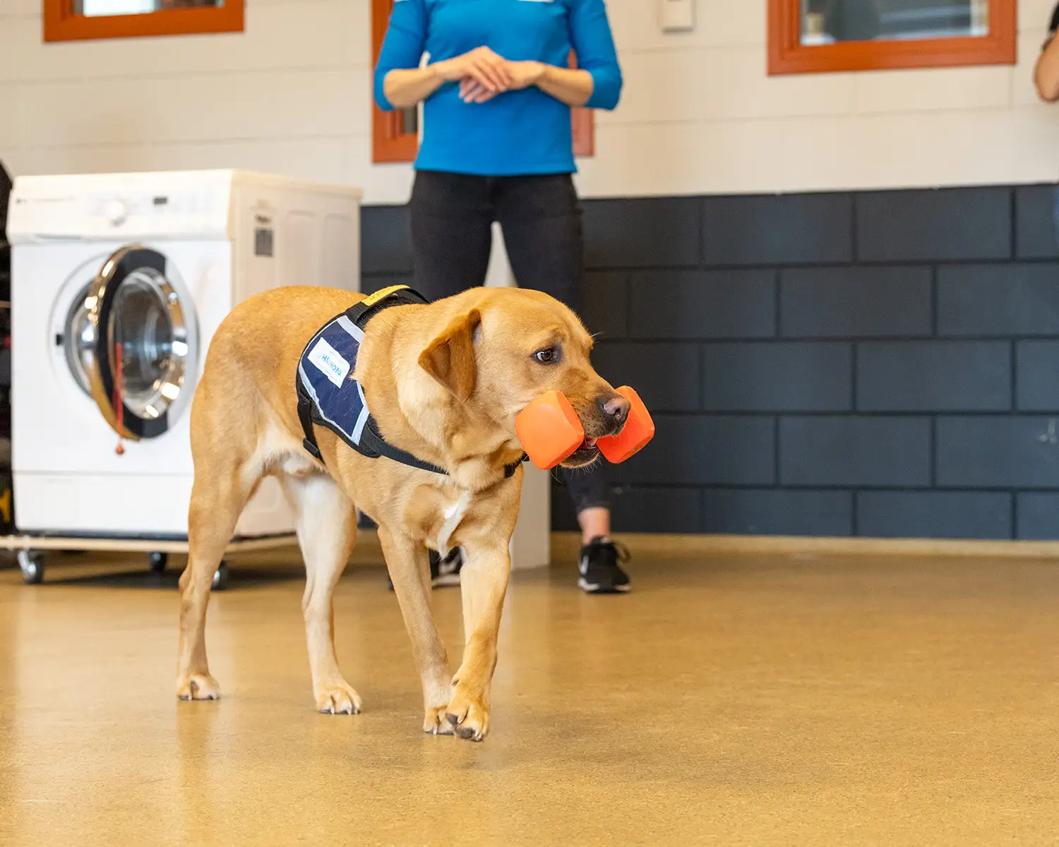 1500x1200_65perc-Open_dag_08