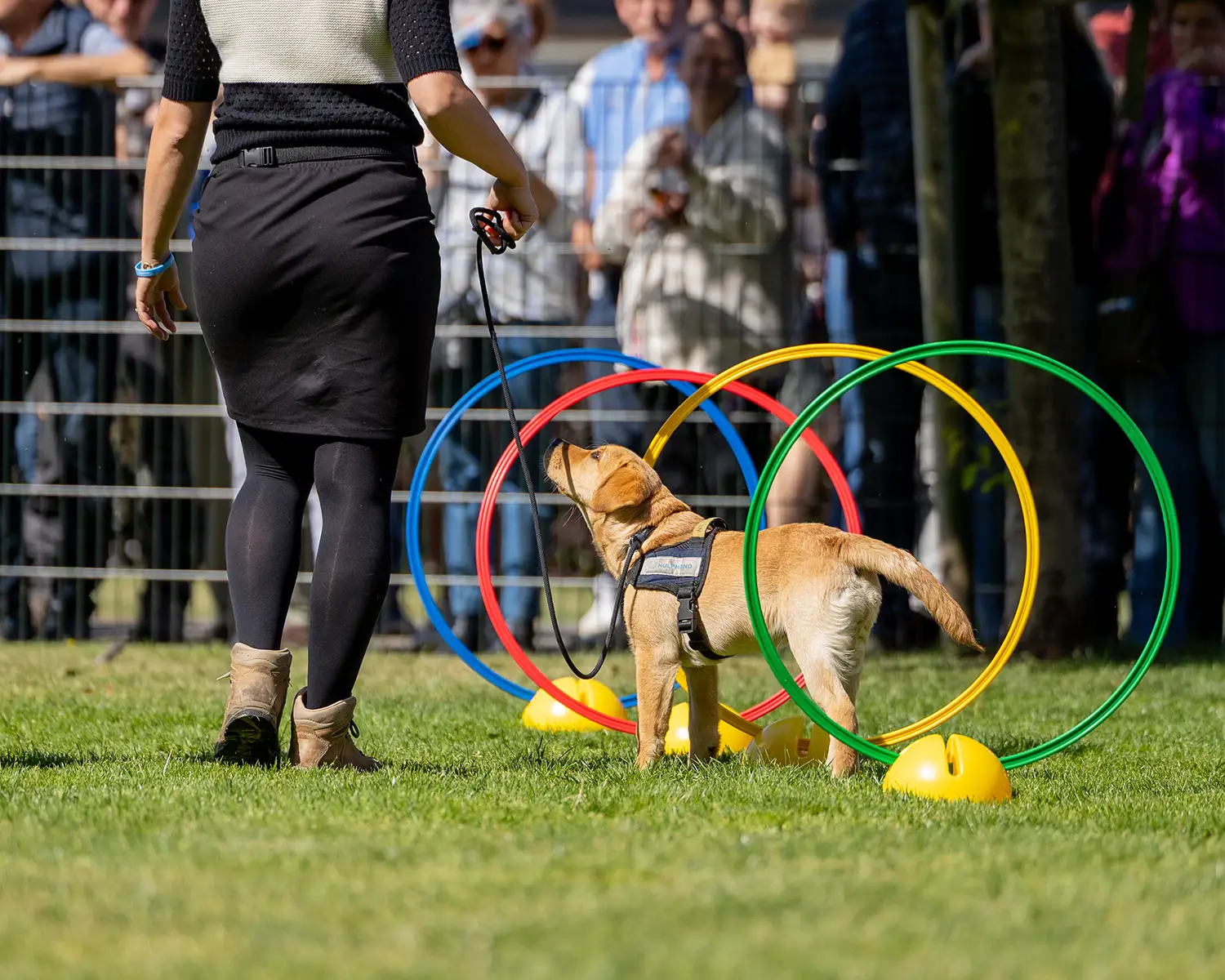 1500x1200_65perc-Open_dag_09