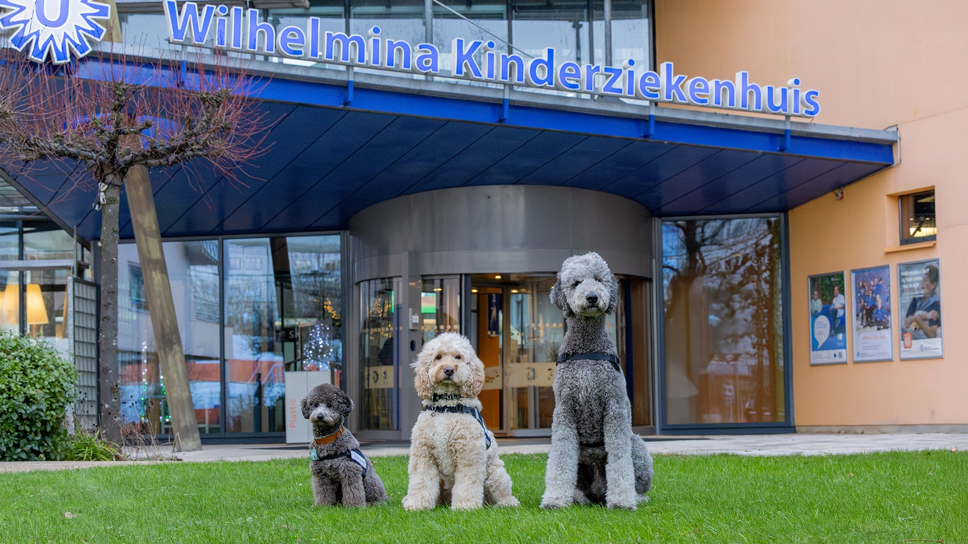 De Sociale Hulphond in ‘Het Kinderziekenhuis’ op RTL4
