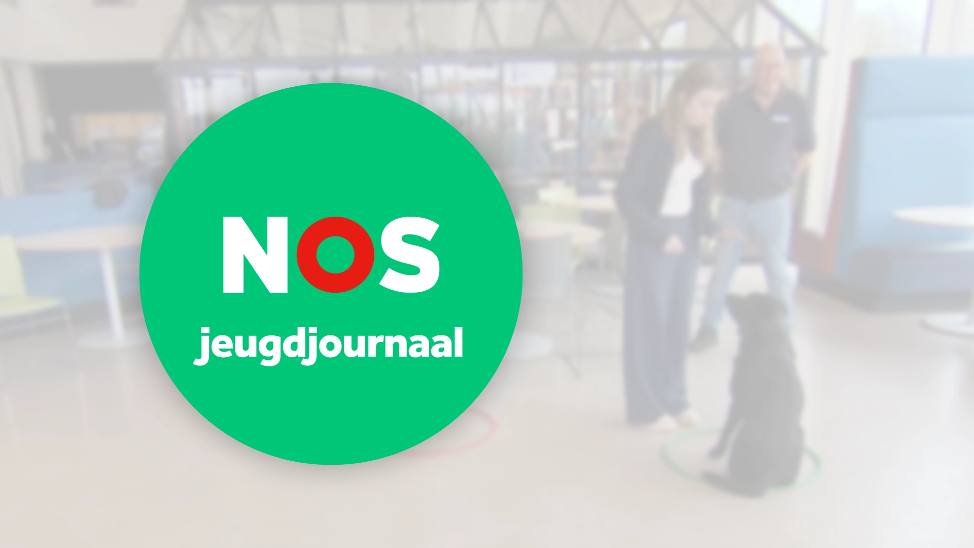 Hulphond Nederland te zien in het Jeugdjournaal