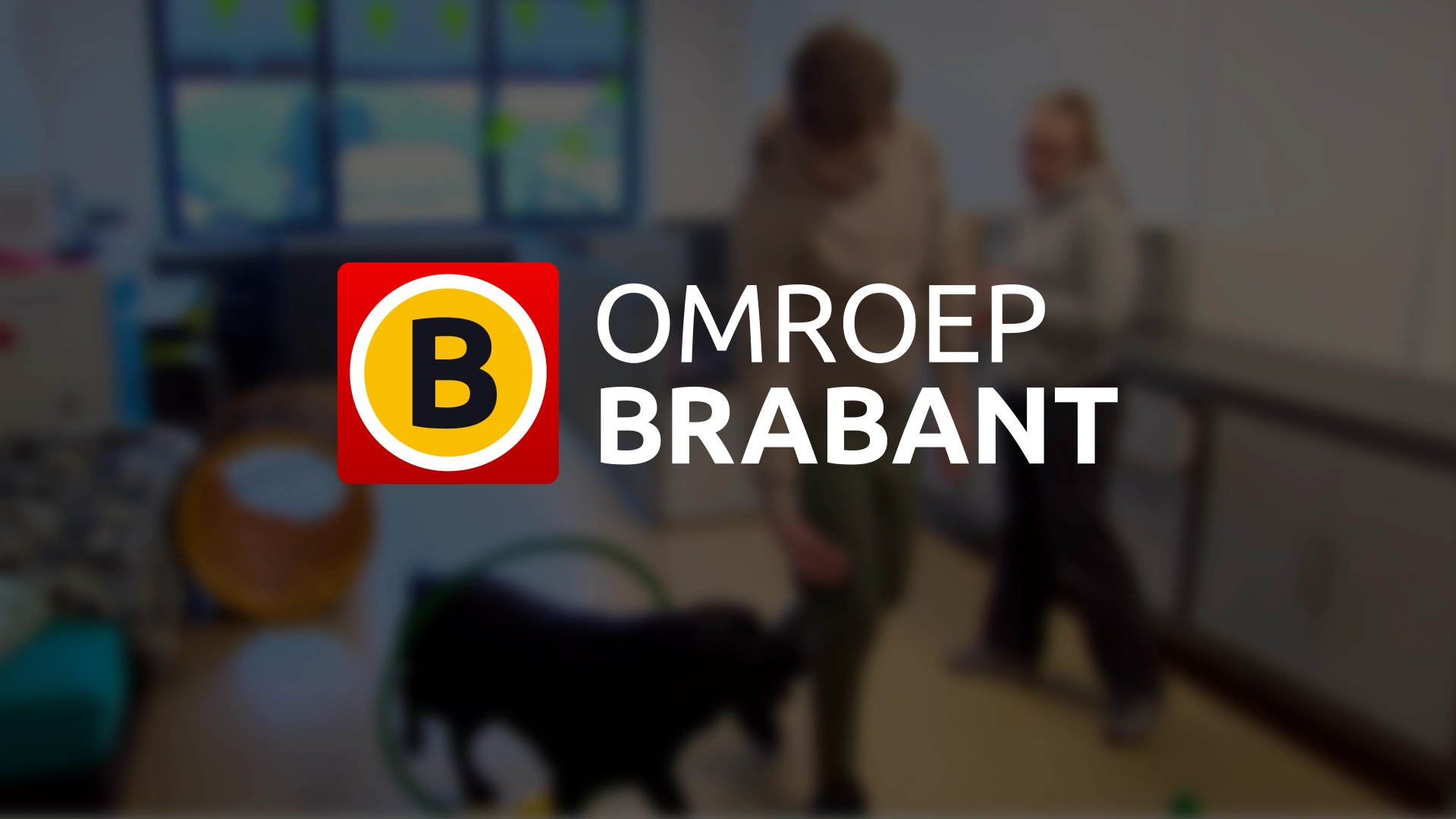 Omroep Brabant: Labrador Leon helpt Niek (14) uit Erp aan zelfvertrouwen