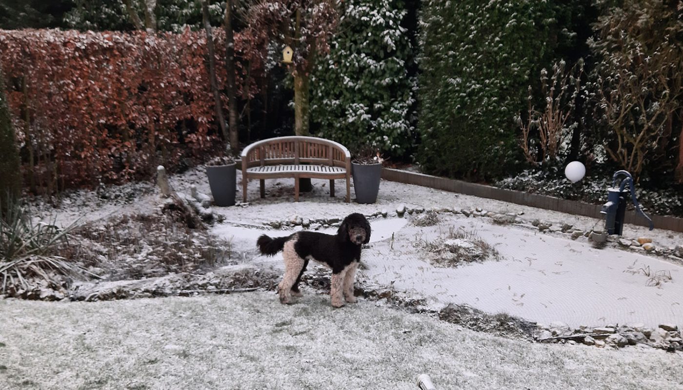 Nanouk in de sneeuw